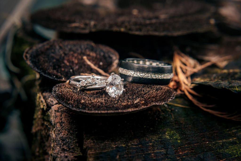 Elopement at Knotted Roots on the Lake