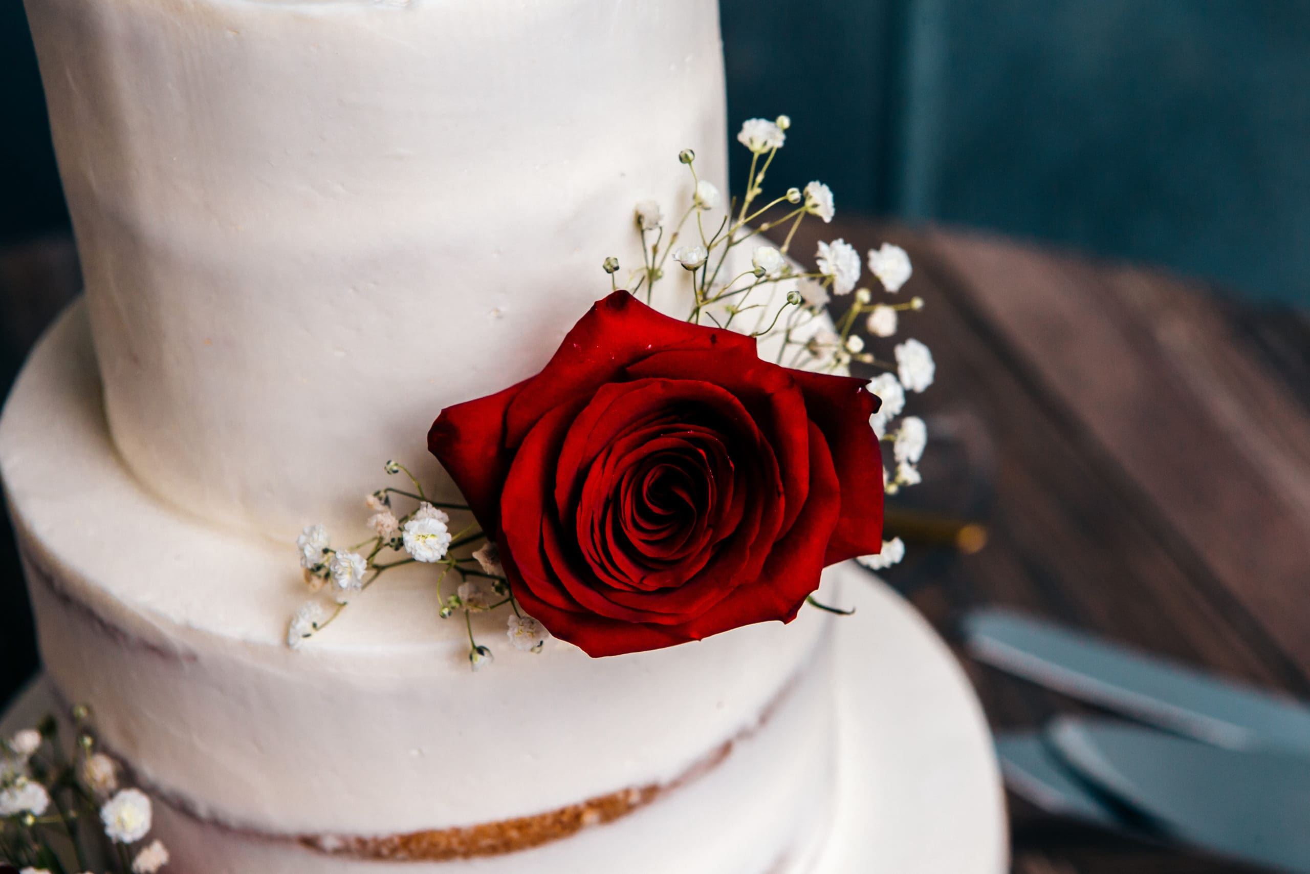 Schindler Wedding at Knotted Roots on the Lake