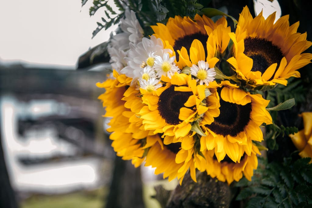 How to Make a Splash at your Wedding (and go viral)