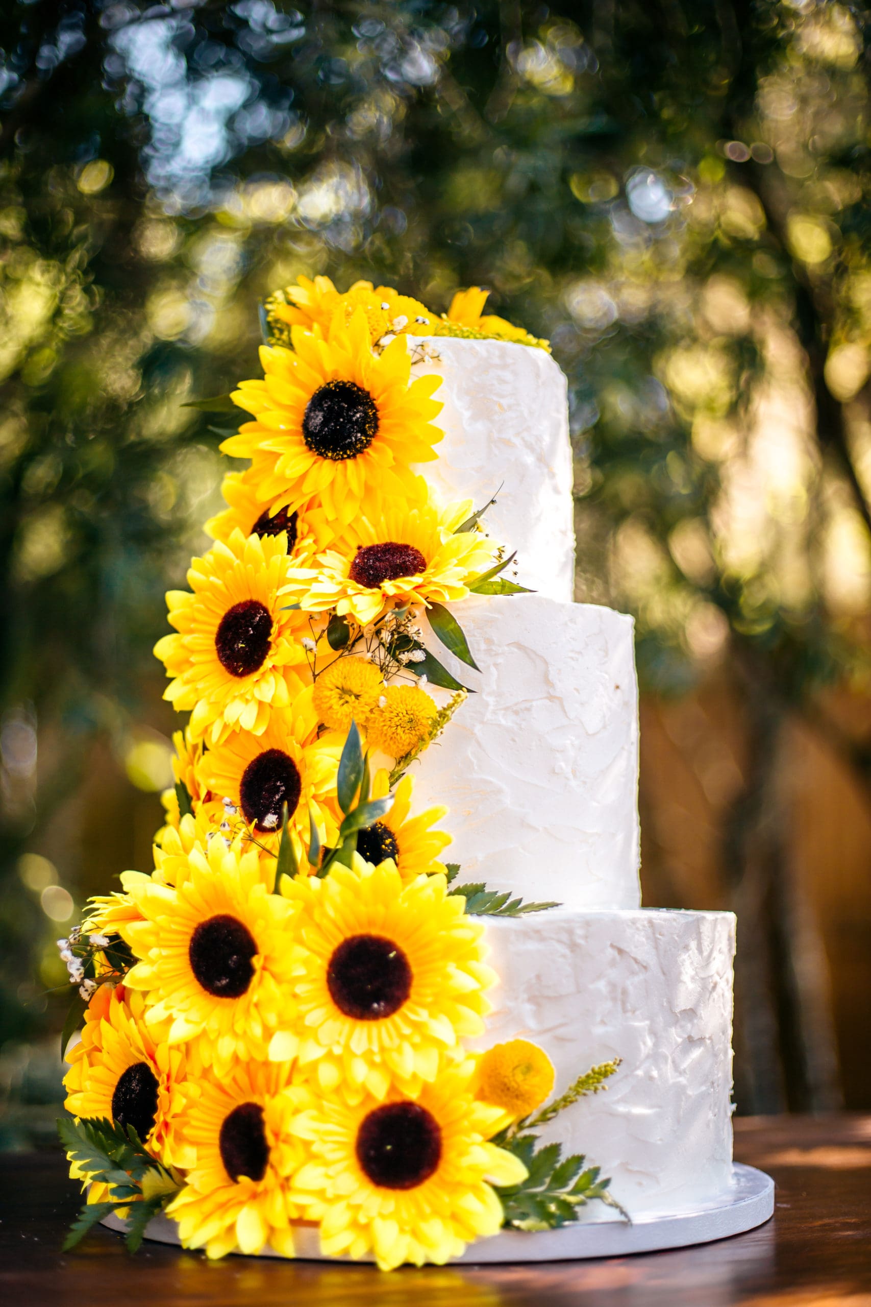 Bertoncini Wedding at Knotted Roots on the Lake