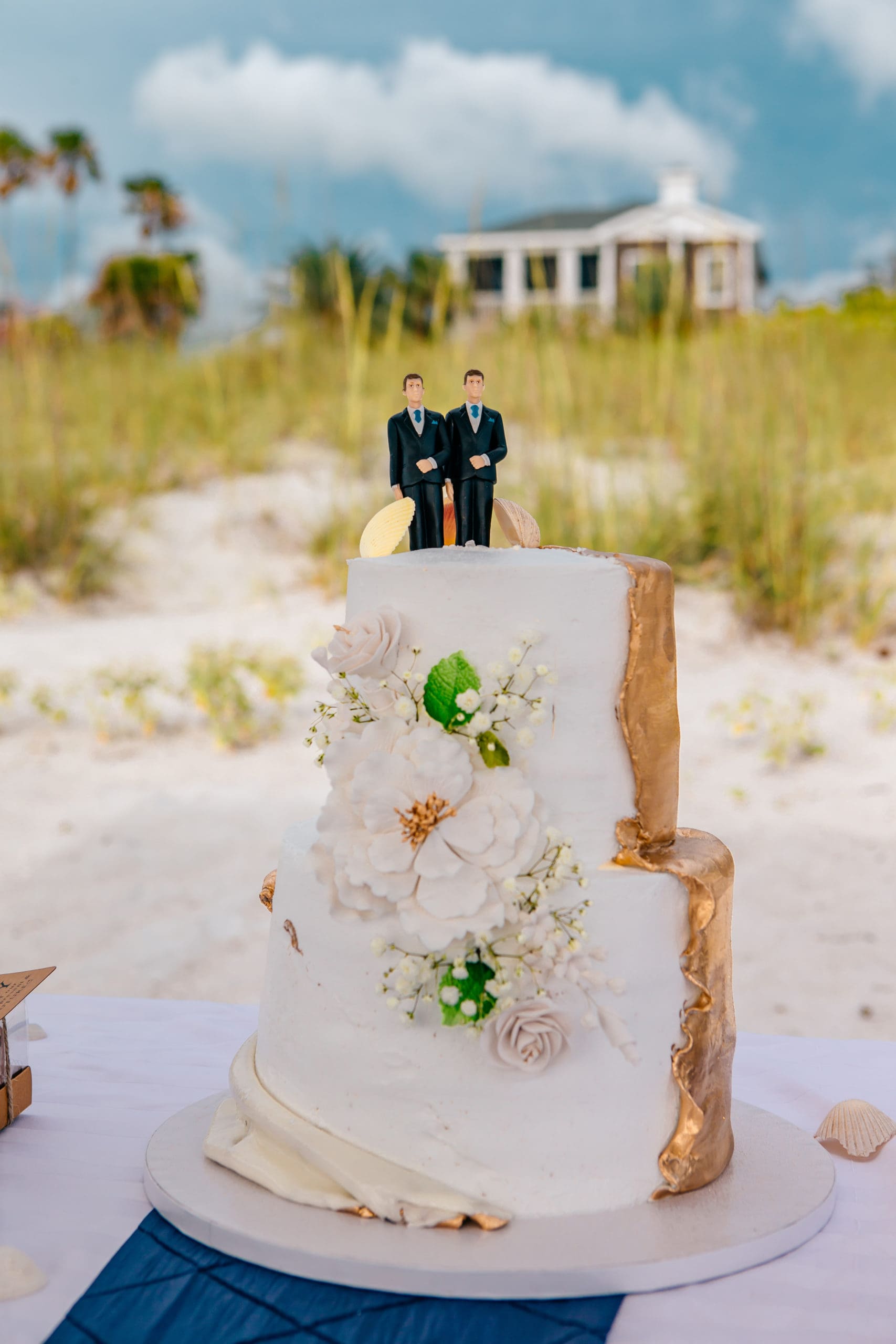 Arias-Gaitan Wedding on Pass-A-Grille Beach